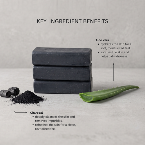 Aloe Charcoal Men's Bar Soap Set - 3x5 oz